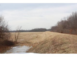 Property photo 7 - MAJOR LAND AUCTION - 541+/- Acres offered in 5 Tracts